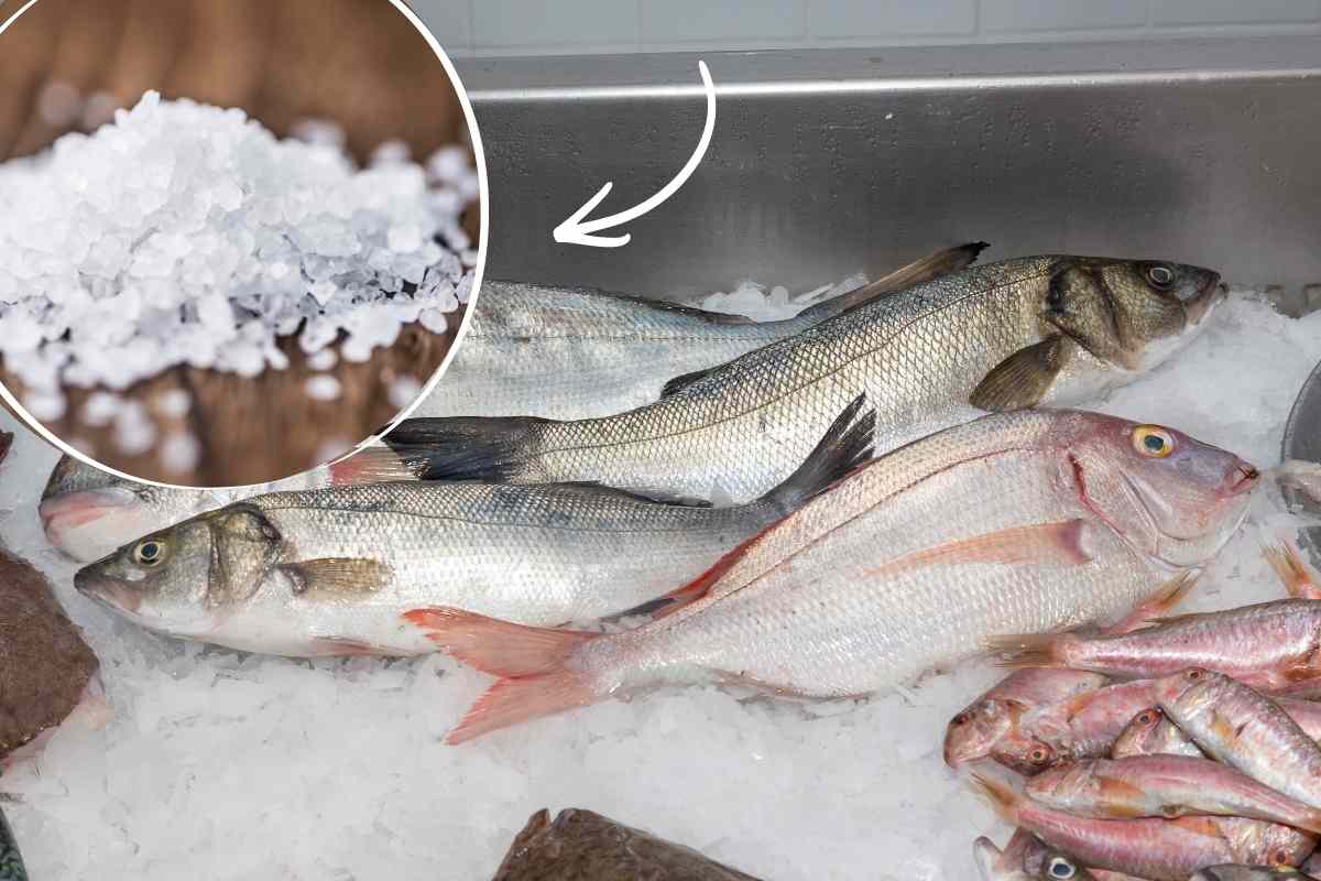 pesce da cucinare sotto sale