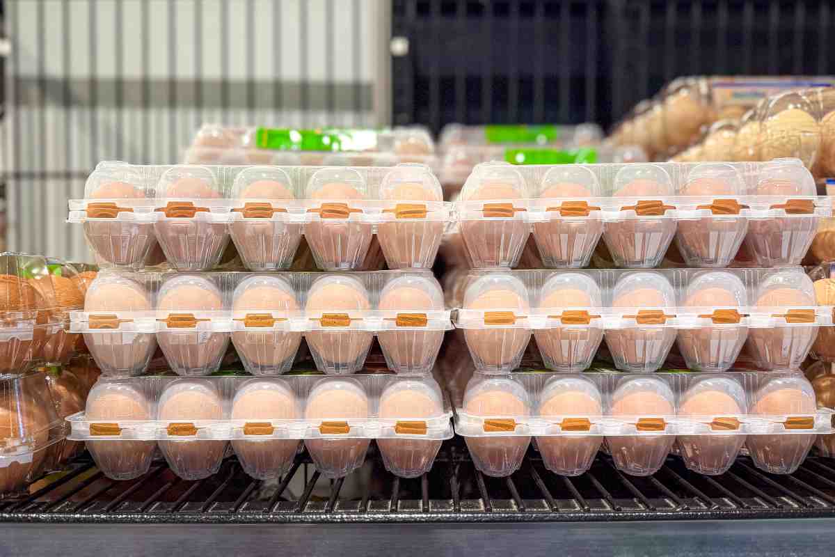 uova richiamate rischio microbiologico